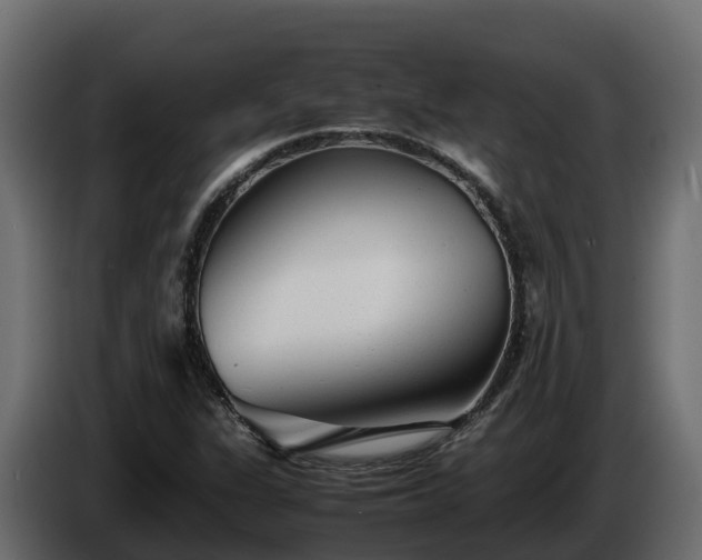 X0000085791311200703231259
