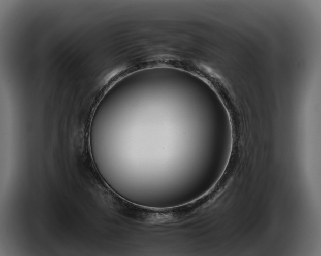 X0000085791313200703231259