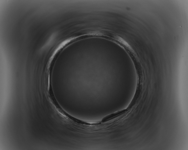 X0000085791323200703231259