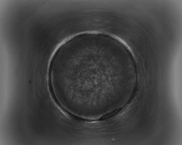 X0000085791327200703231259