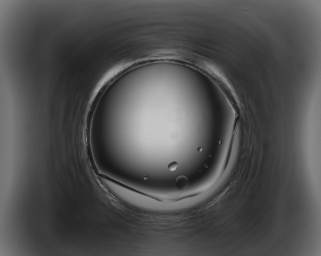 X0000085791328200703231259