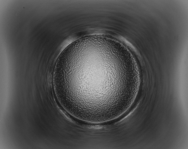 X0000085791329200703231259