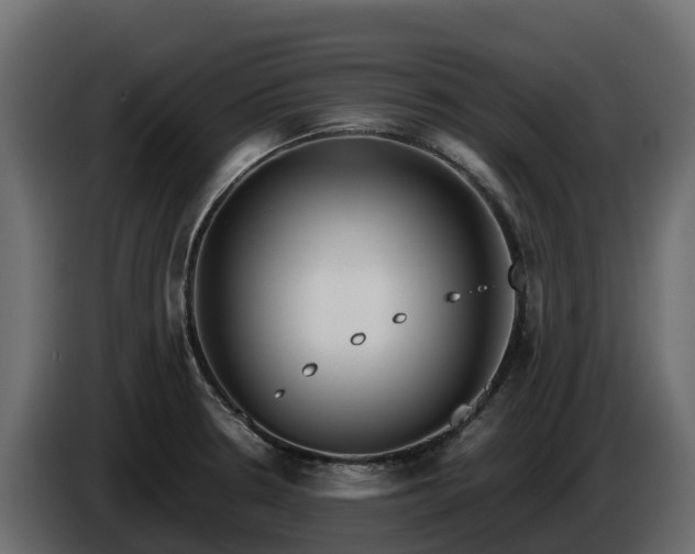 X0000085791330200703231259