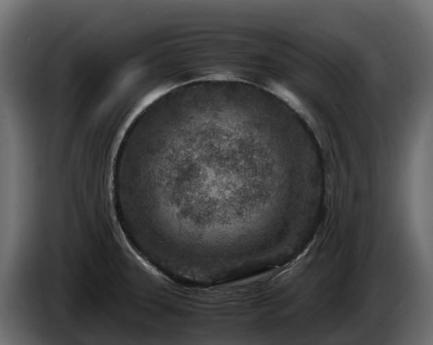 X0000085791331200703231259