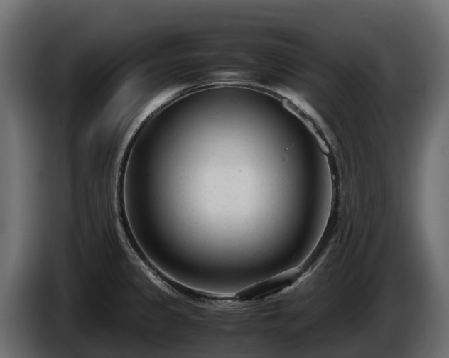 X0000085791333200703231259