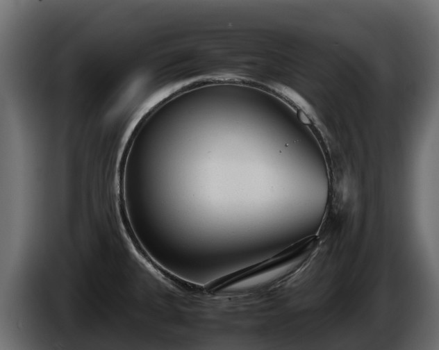 X0000085791335200703231259