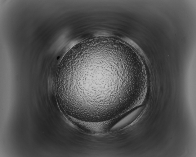 X0000085791337200703231259