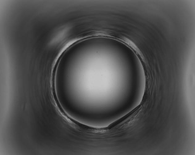 X0000085791339200703231259
