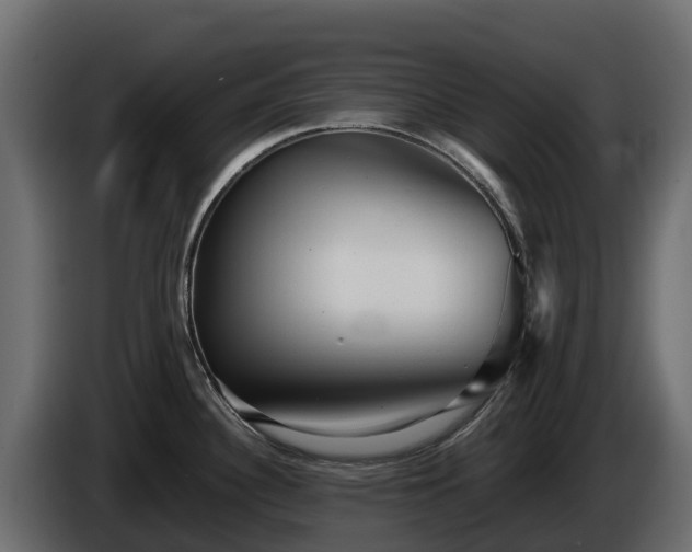 X0000085791340200703231259