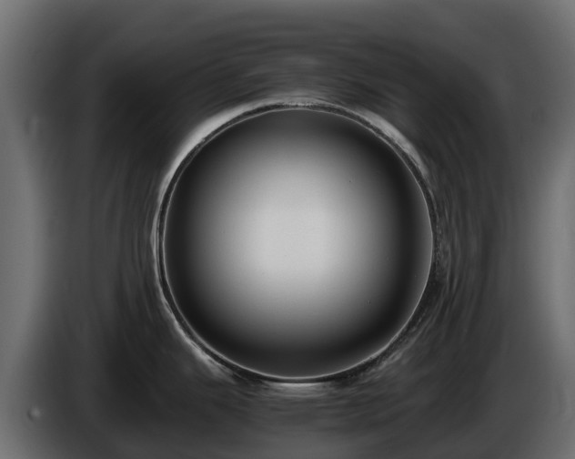 X0000085791343200703231259