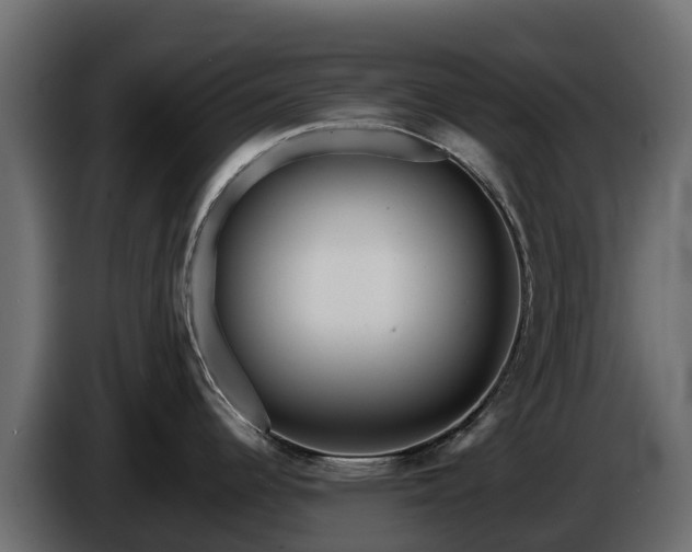 X0000085791344200703231259