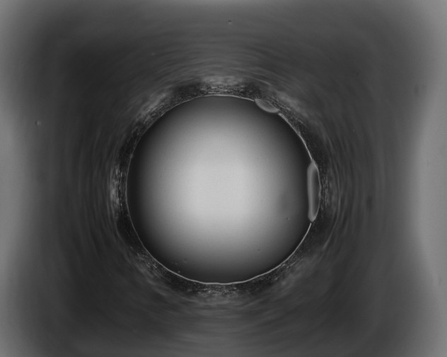 X0000085791346200703231259