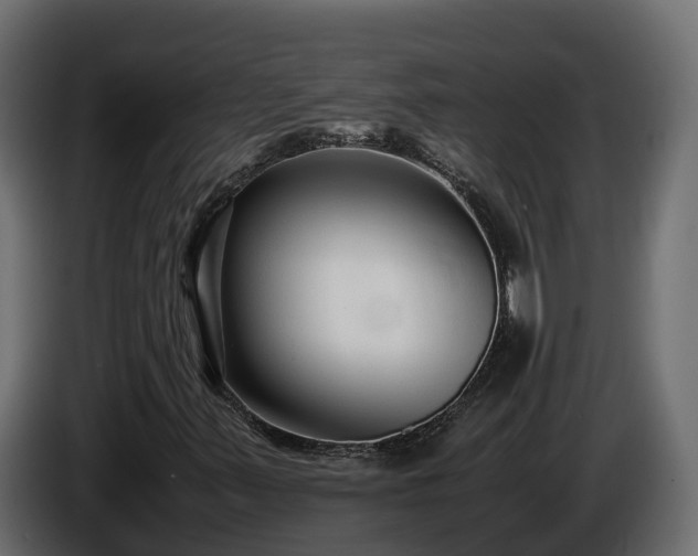 X0000085791347200703231259