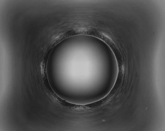 X0000085791348200703231259