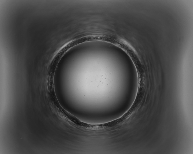 X0000085791352200703231259