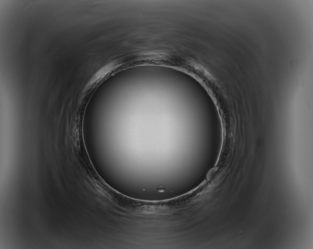 X0000085791354200703231259