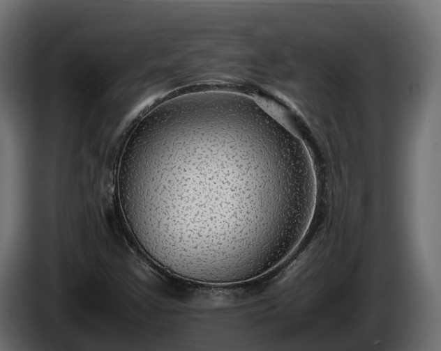 X0000085791355200703231259