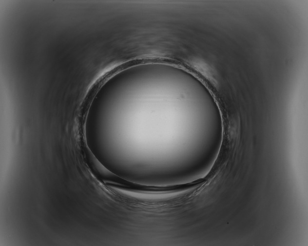 X0000085791356200703231259