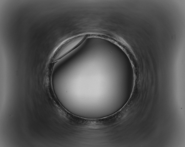 X0000085791360200703231258