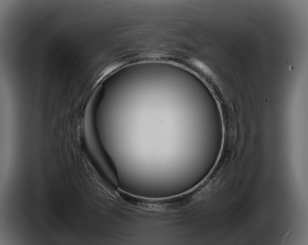 X0000085791361200703231258