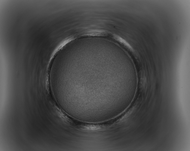X0000085791362200703231258