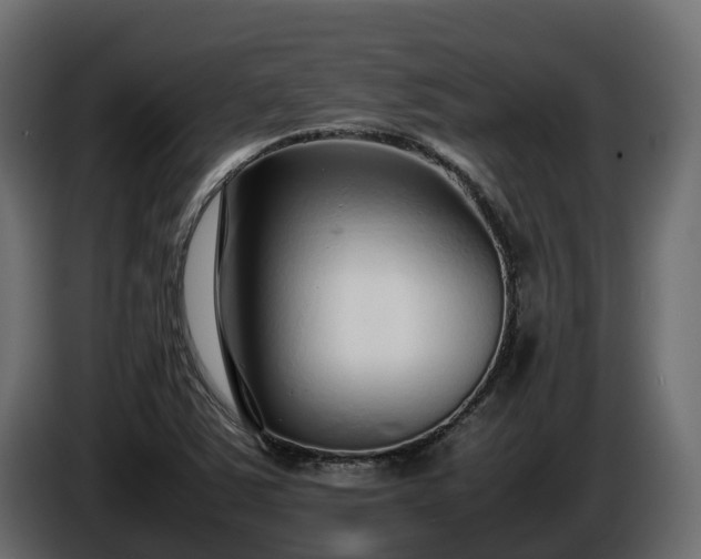 X0000085791363200703231258