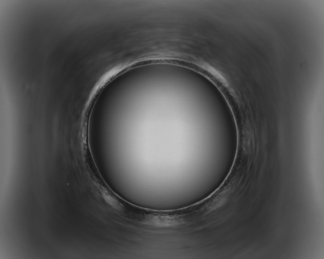 X0000085791366200703231258