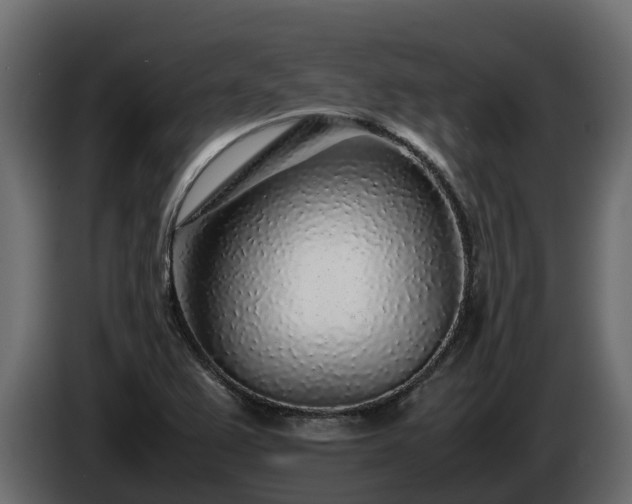 X0000085791367200703231258
