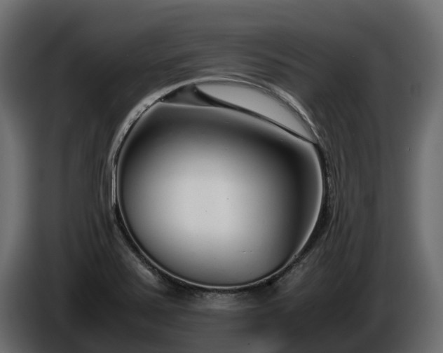 X0000085791371200703231258