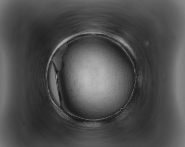 X0000085791372200703231258