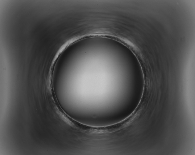 X0000085791374200703231258