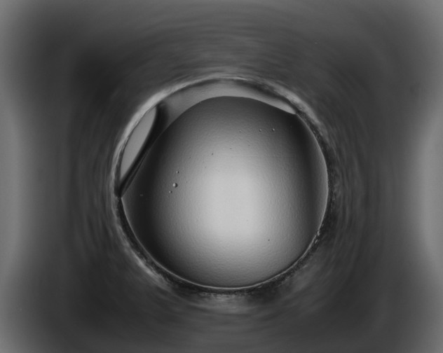 X0000085791375200703231258