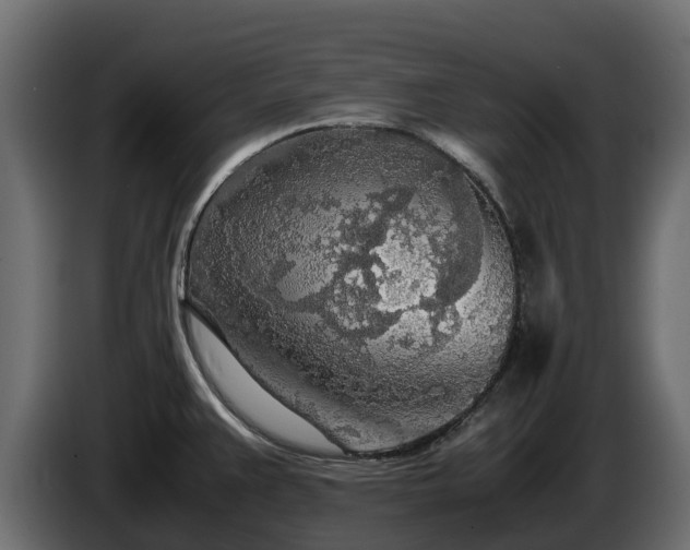 X0000085791383200703231258