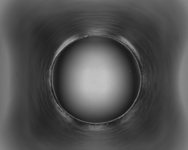 X0000085791386200703231258