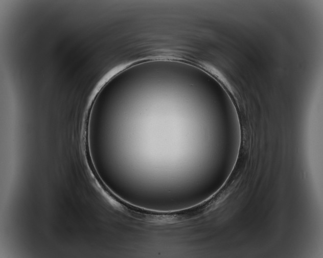 X0000085791387200703231258