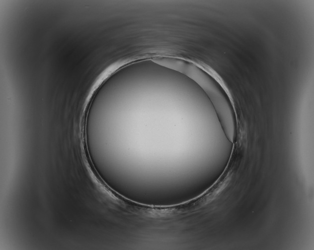 X0000085791389200703231258