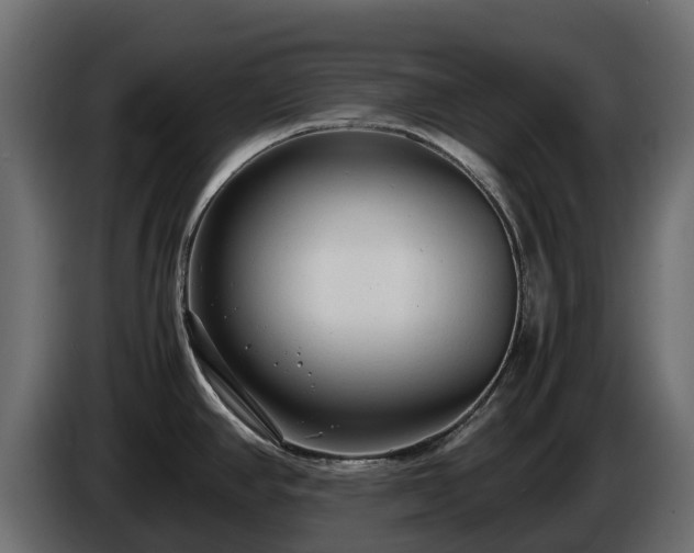 X0000085791390200703231258