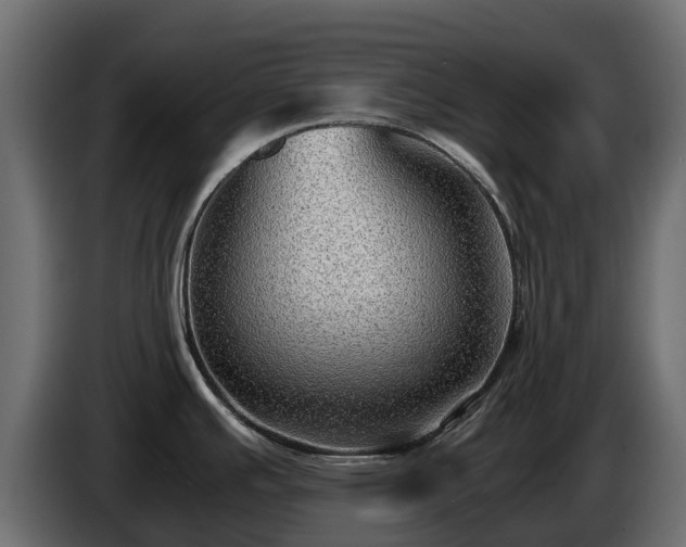 X0000085791391200703231258