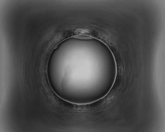 X0000085791393200703231257