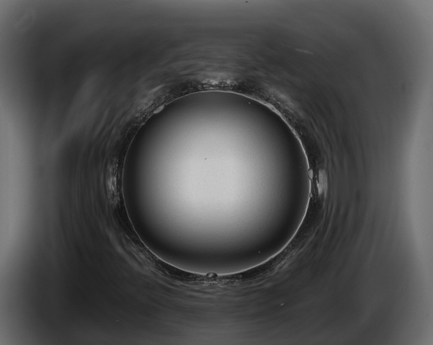 X0000085791396200703231257