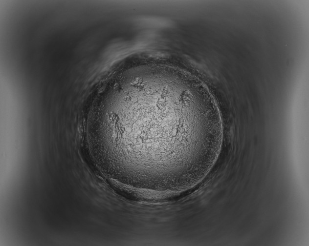 X0000085791397200703231257