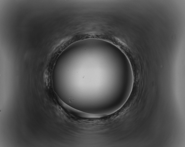 X0000085791398200703231257