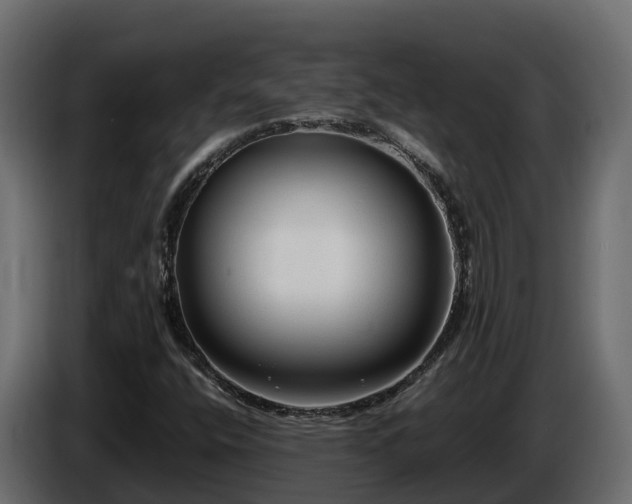 X0000085791400200703231257