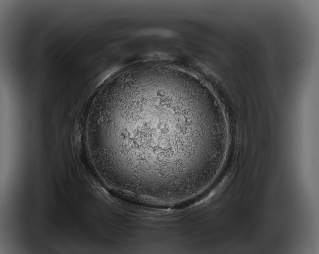 X0000085791401200703231257