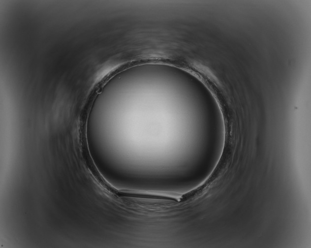 X0000085791404200703231257