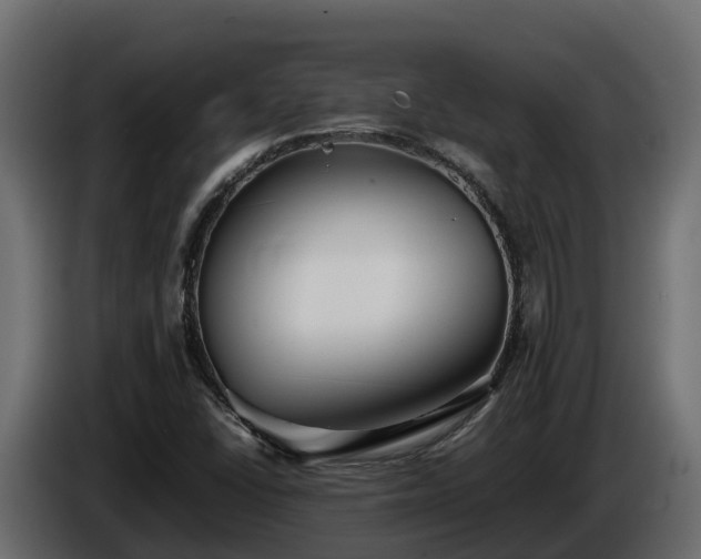 X0000085791406200703231258