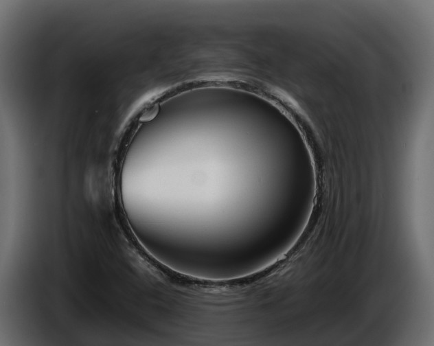 X0000085791408200703231258