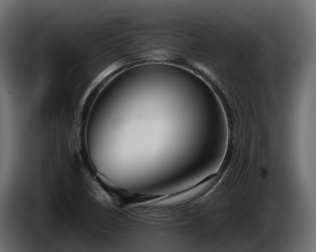 X0000085791410200703231258