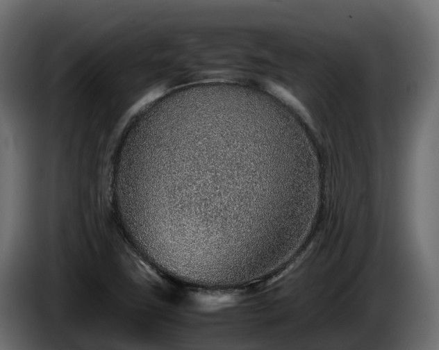 X0000085791411200703231258