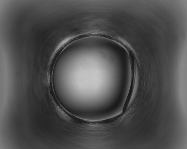 X0000085791416200703231258